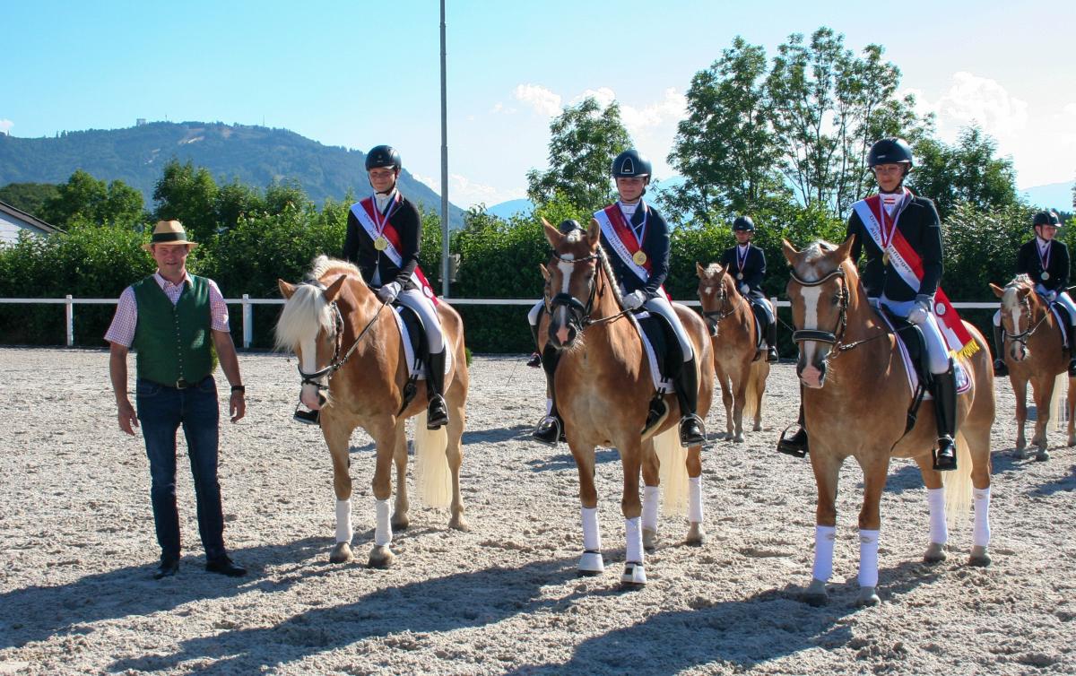 Ober sterreichische Meisterschaften Haflinger Dressur und Springen